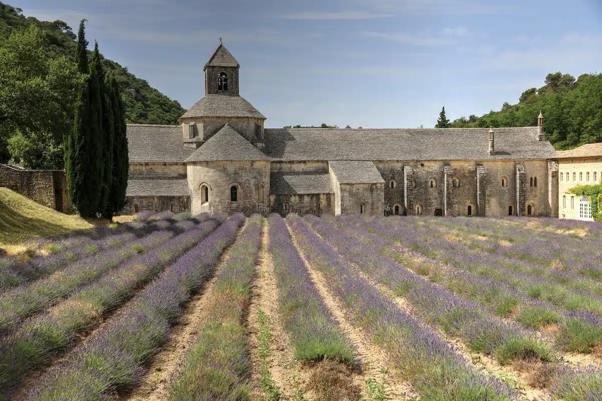 provence amour