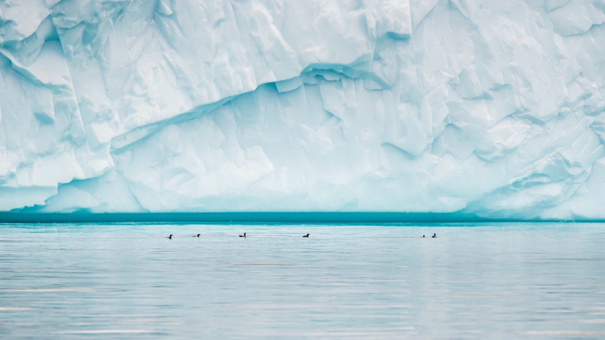 Croisière Arctique de luxe : comment se positionne le rapport qualité/prix face aux autres expéditions polaires ?
