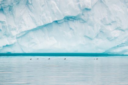 Croisière Arctique de luxe : comment se positionne le rapport qualité/prix face aux autres expéditions polaires ?