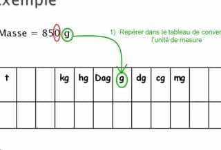 convertir les grammes en milligrammes